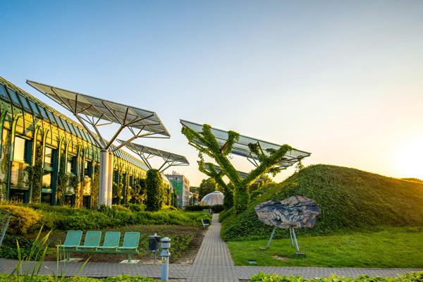 Nature based solutions e desigillazione